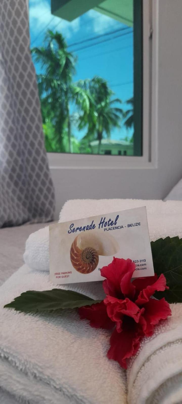 Serenade Hotel Placencia Kültér fotó